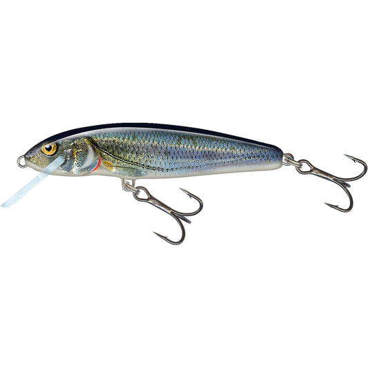Salmo Minnow 5/6cm Floating